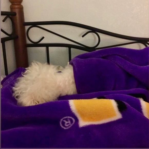 Meet your Posher, Mona - Picture 2 of 9